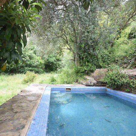 Quiet And Cottage In The Estate Casas Da Cerca Troviscais エクステリア 写真
