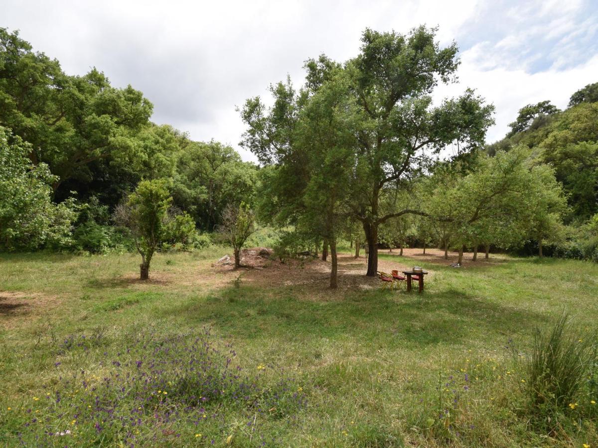 Quiet And Cottage In The Estate Casas Da Cerca Troviscais エクステリア 写真